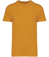 Native Spirit Unisex Heavyweight TShirt