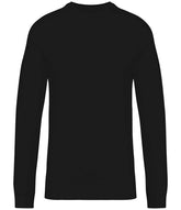 Native Spirit Unisex Raglan Sleeve Sweatshirt