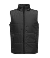 Regatta Access Insulated Bodywarmer