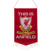 Liverpool FC TIA Mini Pennant
