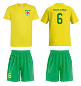 Personalised Wales Style Football Kits Yellow & Green Customised Shirts and Shorts