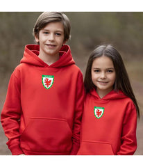 Personalised Wales Style Football Kids Hoodie Kits Customised Printed Name and Number Unisex Hoodies Jumper Top