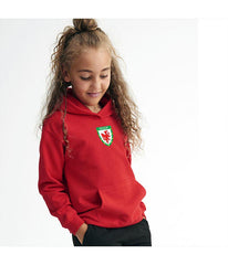 Personalised Wales Style Football Kids Hoodie Kits Customised Printed Name and Number Unisex Hoodies Jumper Top