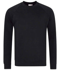 AWDis Academy Senior Raglan Sweatshirt