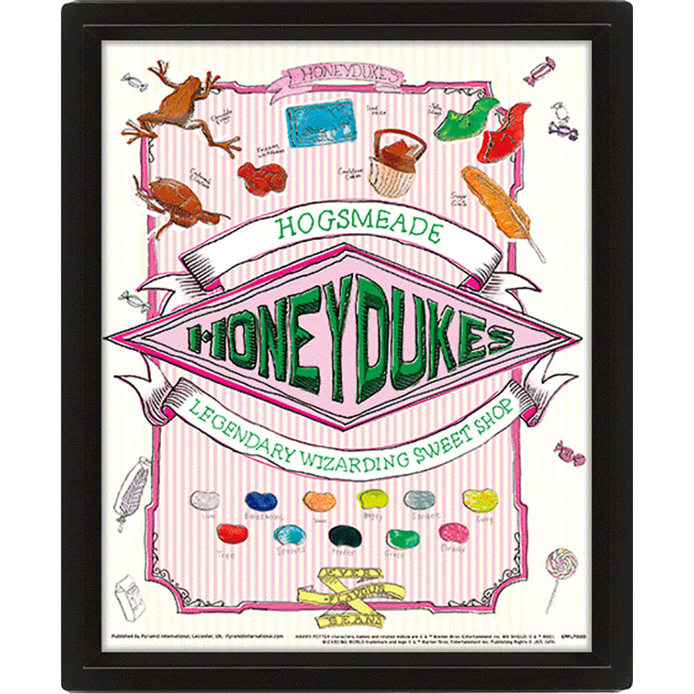 Harry Potter Honeydukes Framed 3D Picture